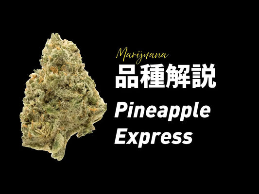 パイナップルエクスプレス徹底解説 | ハイブリッド大麻品種の効果・特徴 - Drowse