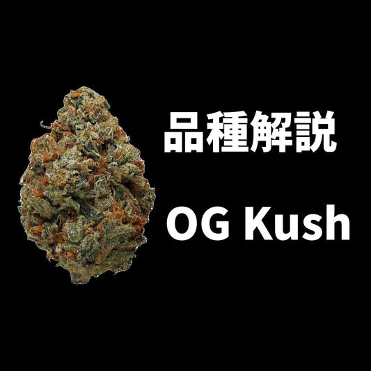 OG Kushとは? カンナビスの王様と呼ばれる伝説的品種を徹底解説 - Drowse