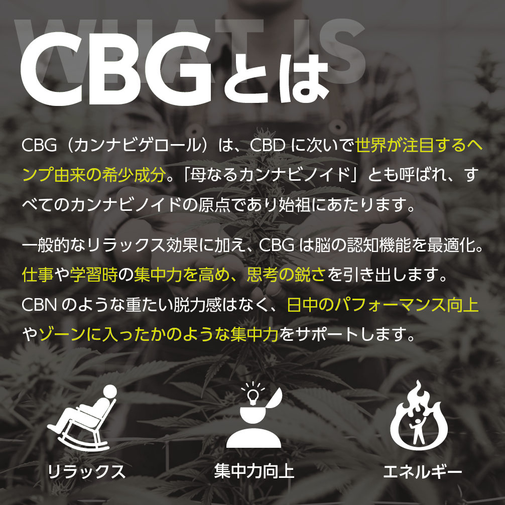 【高濃度】CBGジョイント - JACK HERER - Drowse